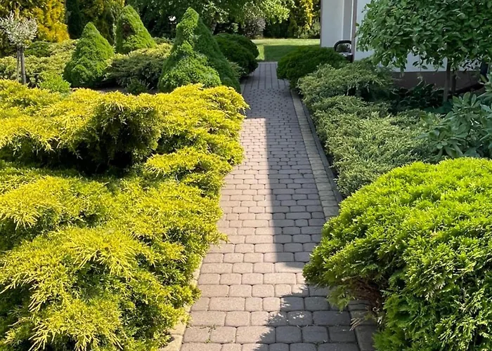 Дом отдыха I 